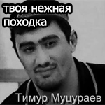 тимурка миник